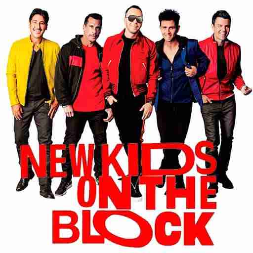 New Kids on the Block