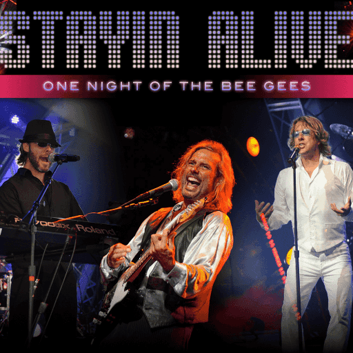 Stayin' Alive - One Night of the Bee Gees