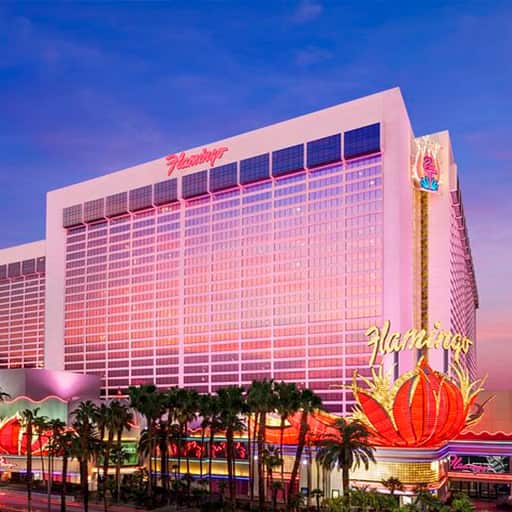 Flamingo Las Vegas